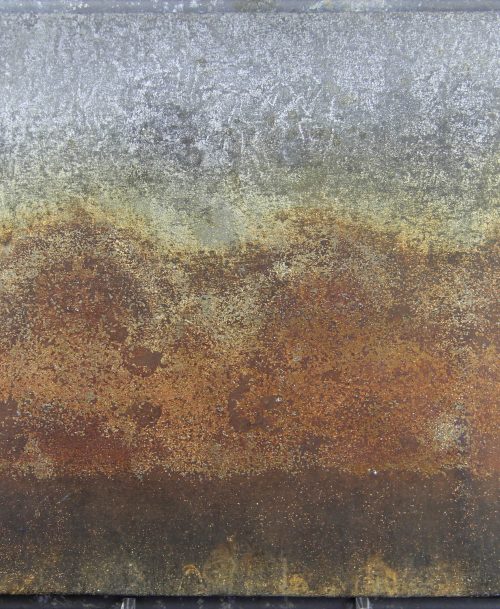 Derrière le bosquet 1