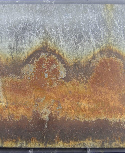 Derrière le bosquet 2