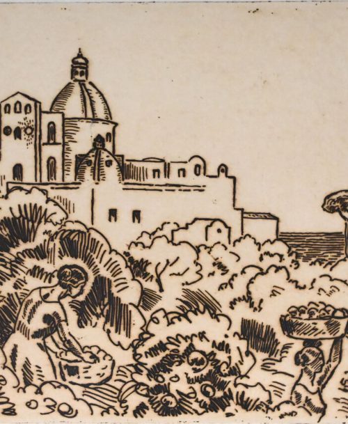 Les cueillettes en Sicile