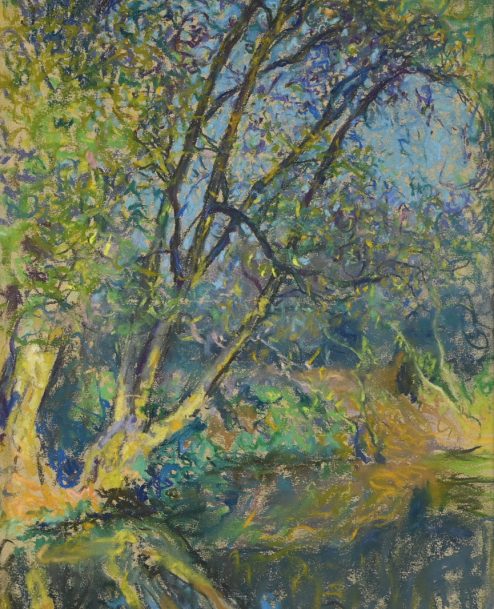 Arbres en bord de Seine