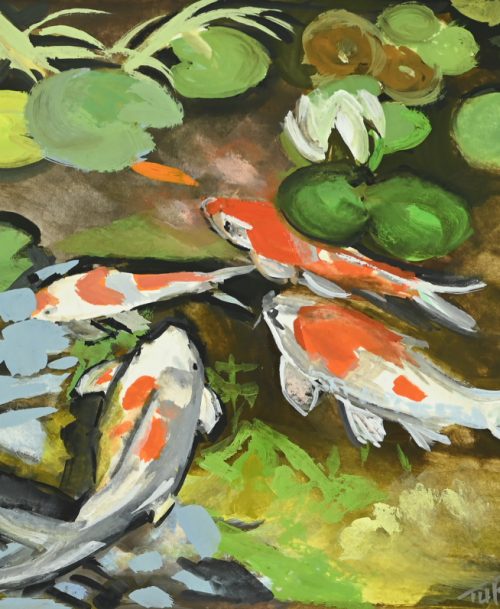 Carpes Koi