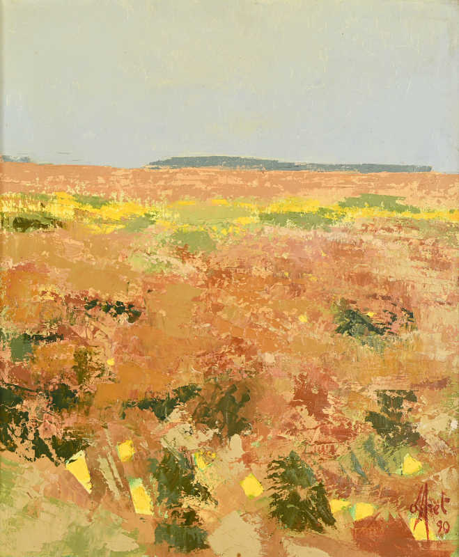 Fleurs jaunes, les champs