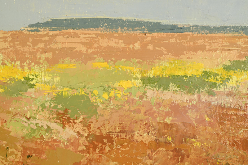 Fleurs jaunes, les champs – Image 5