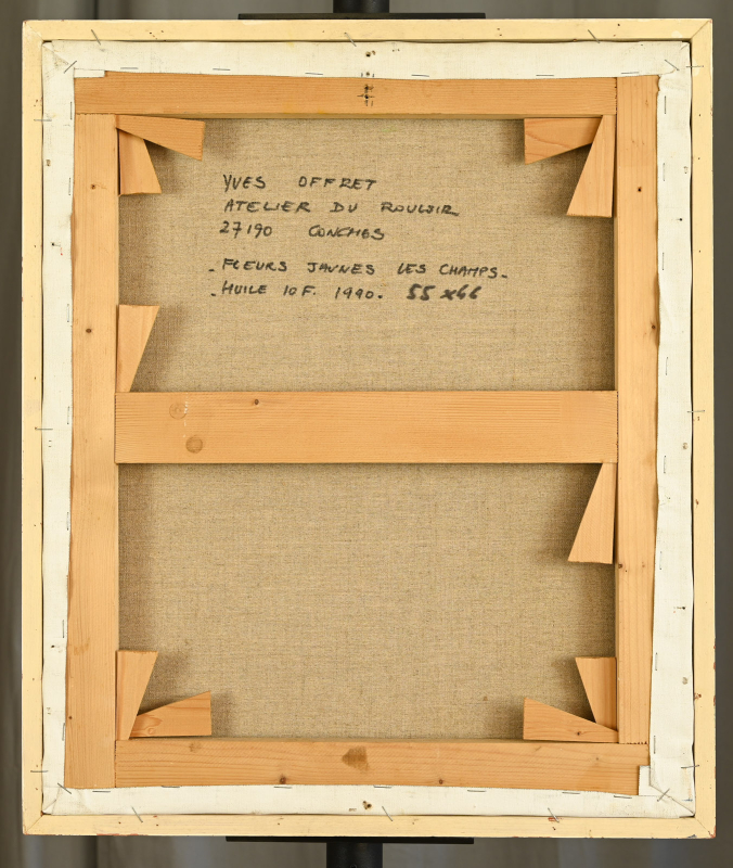 Fleurs jaunes, les champs – Image 6