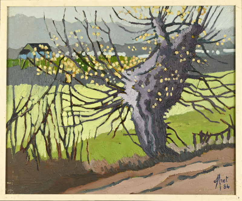 Le vieil arbre – Image 3