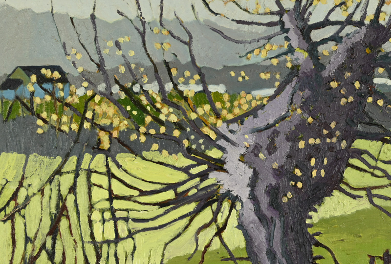 Le vieil arbre – Image 2