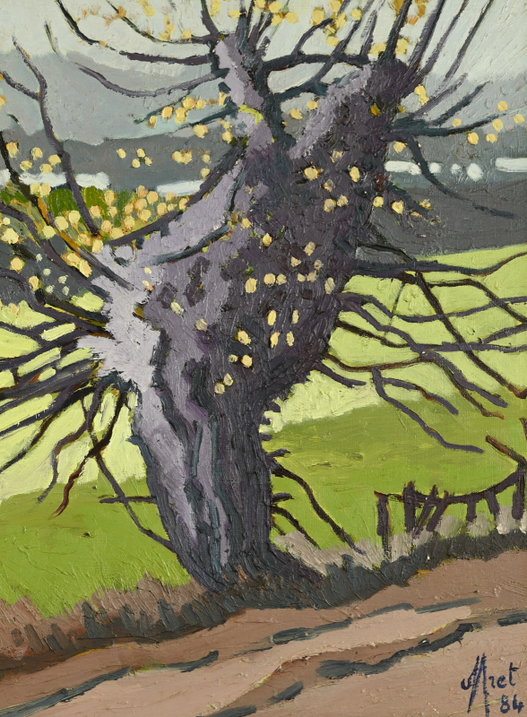 Le vieil arbre – Image 5