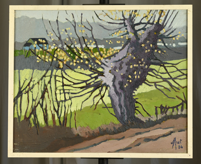 Le vieil arbre – Image 7