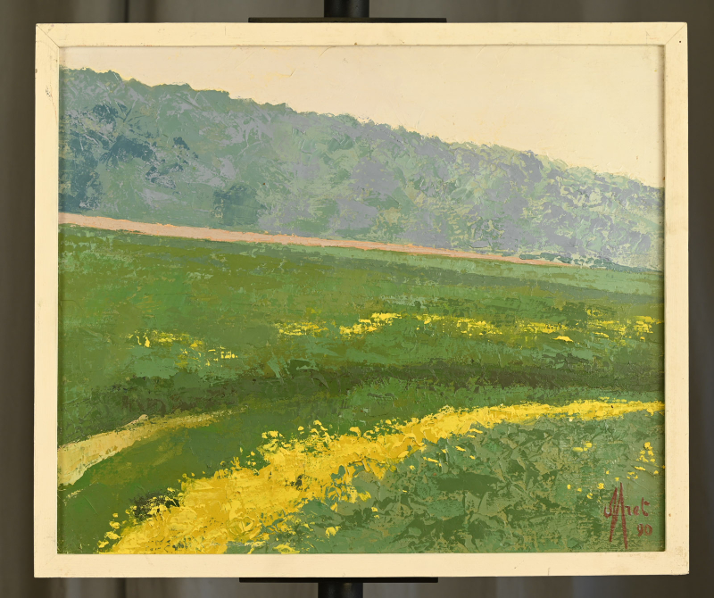 Vert et colza – Image 7