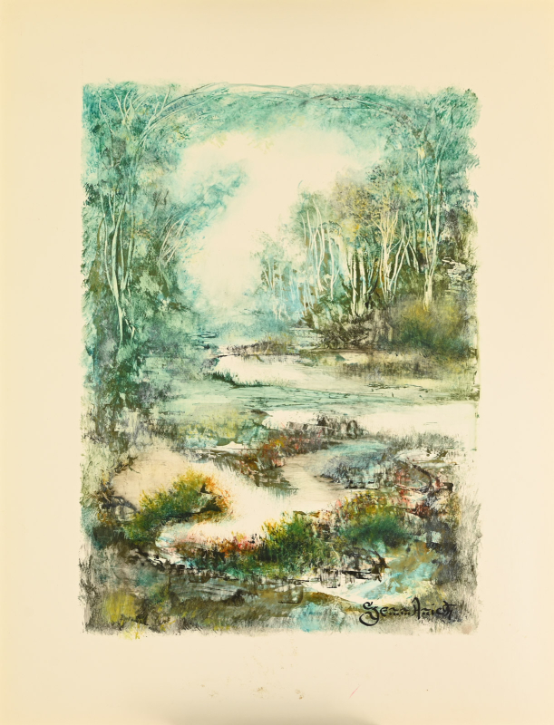 Le marais – Image 6