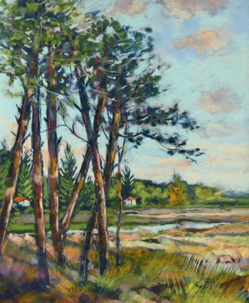 Les pins, Les Landes