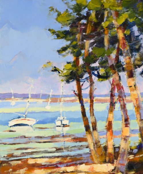 Ombre et lumières sur le Bassin