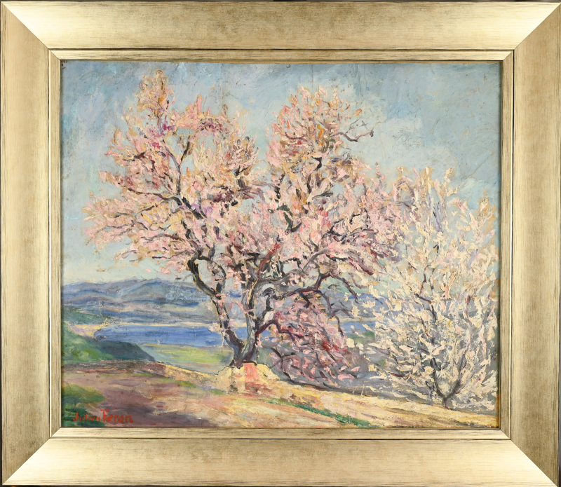 Amandier en fleurs à Gassin – Image 4