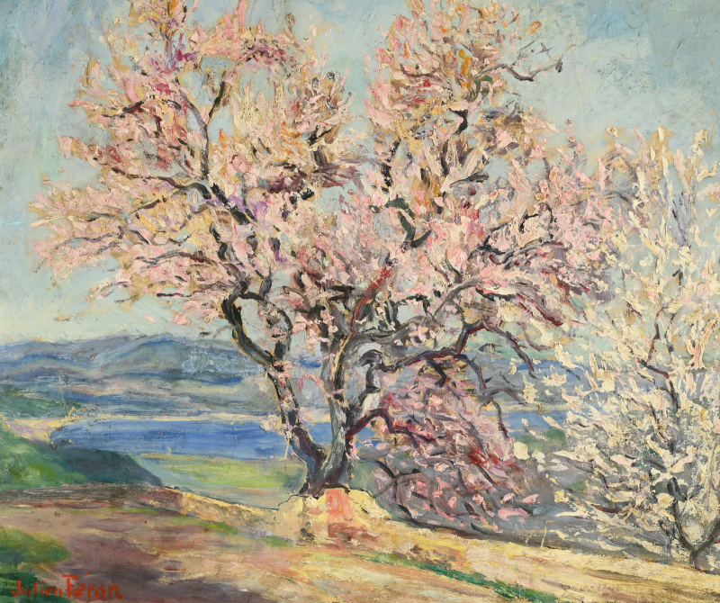 Amandier en fleurs à Gassin – Image 6