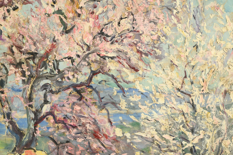 Amandier en fleurs à Gassin – Image 7
