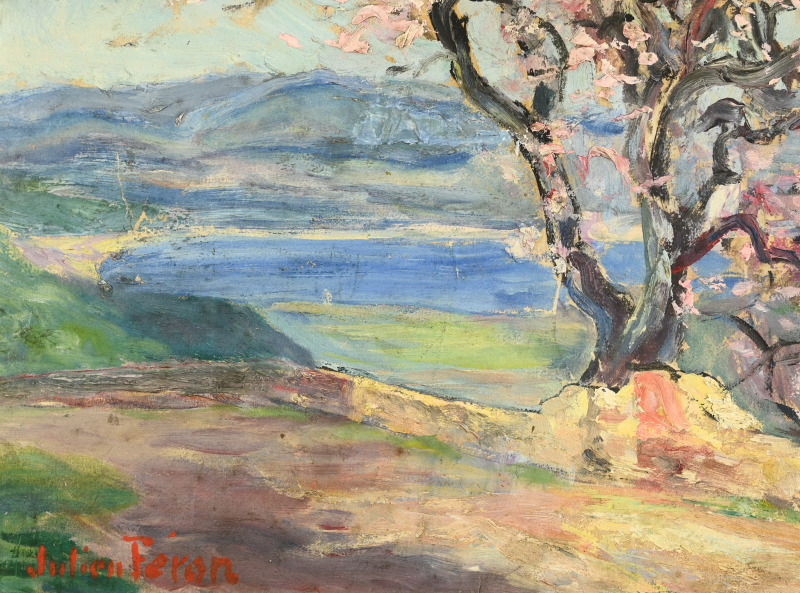 Amandier en fleurs à Gassin – Image 9