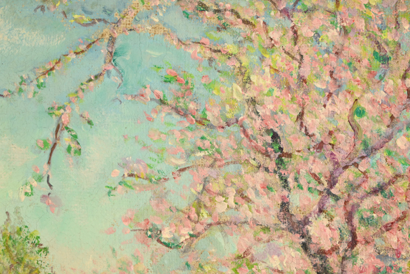 Cerisier en fleurs en normandie – Image 6