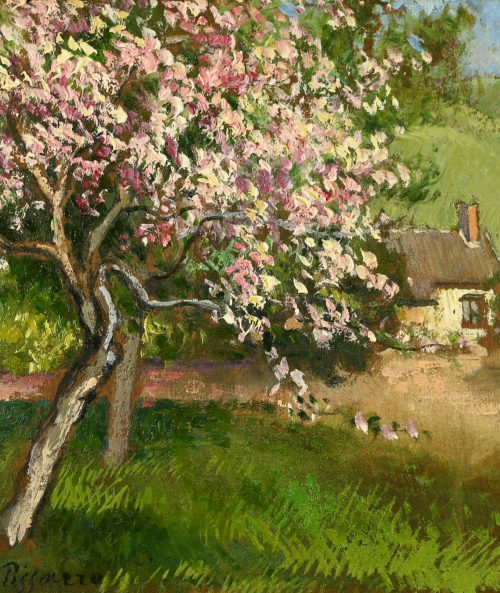Pommiers en fleurs