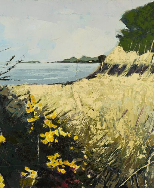 Jaune l'ajonc à Bréhat