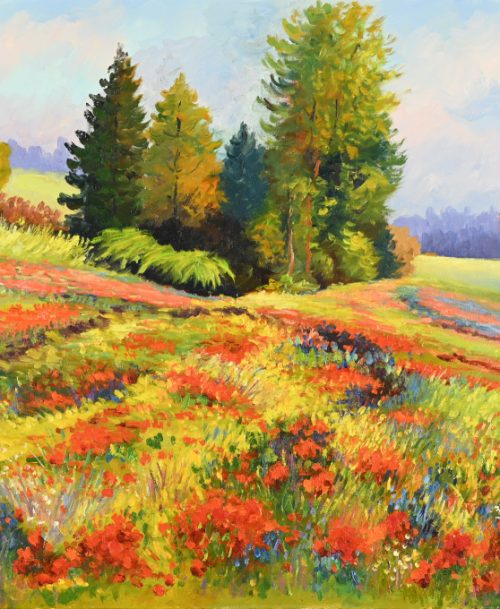 Coquelicots dans le Vexin