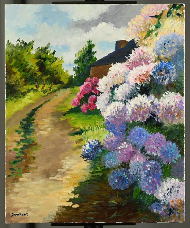 Les hortensias – Image 7