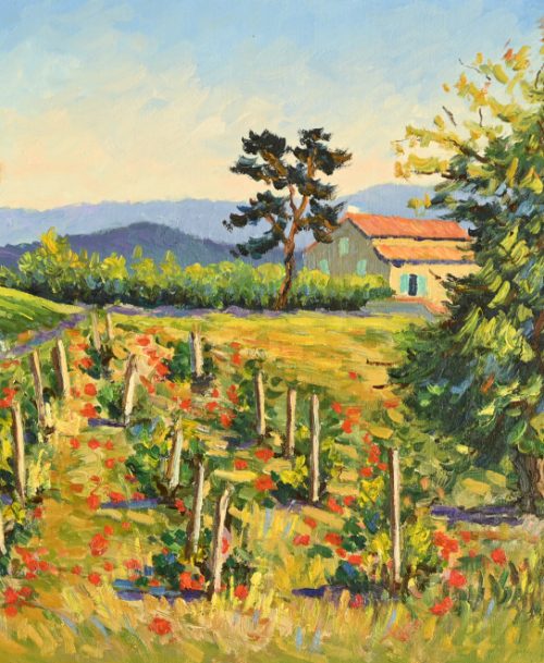 Vigne et coquelicots dans la Drôme
