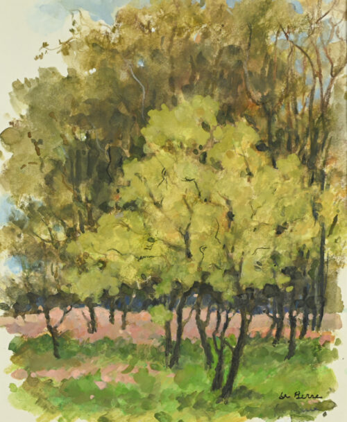Le sous-bois